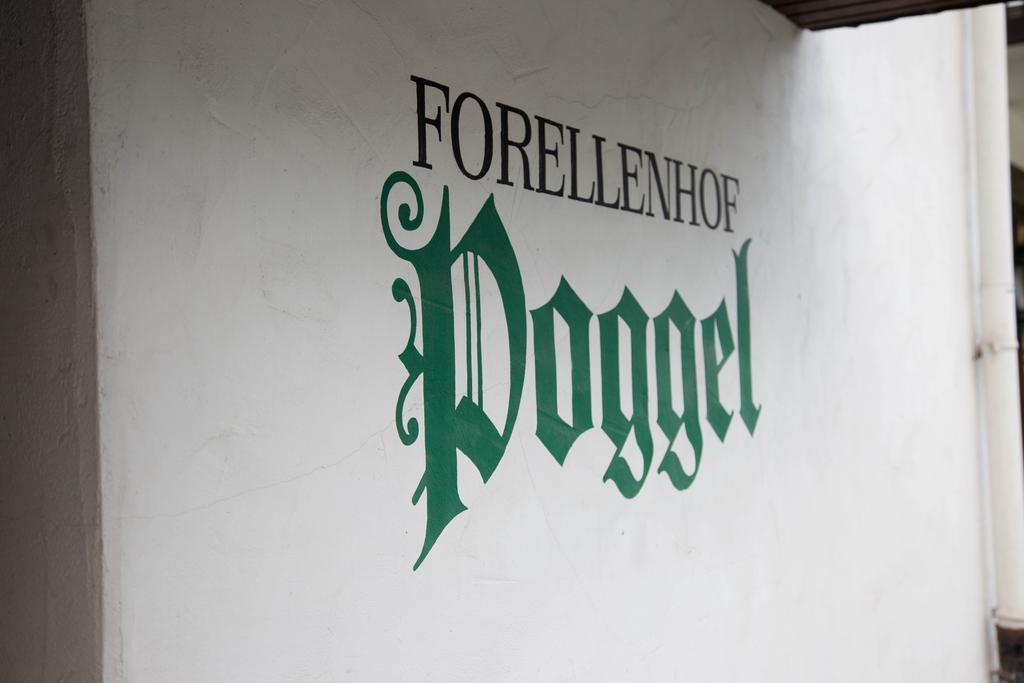 Forellenhof Poggel Eslohe Kültér fotó